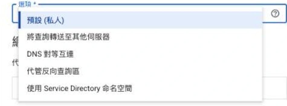 Cloud DNS 建立區域選「私人」後展開的「選項」下拉選單，項目有：預設（私人）、將查詢轉送至其他伺服器、DNS 對等互連、代管反向查詢區、使用 Service Directory 命名空間